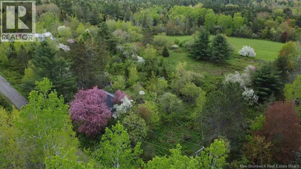 196 Ledge Road, Dufferin, New Brunswick  E3L 3P2 - Photo 2 - NB140566