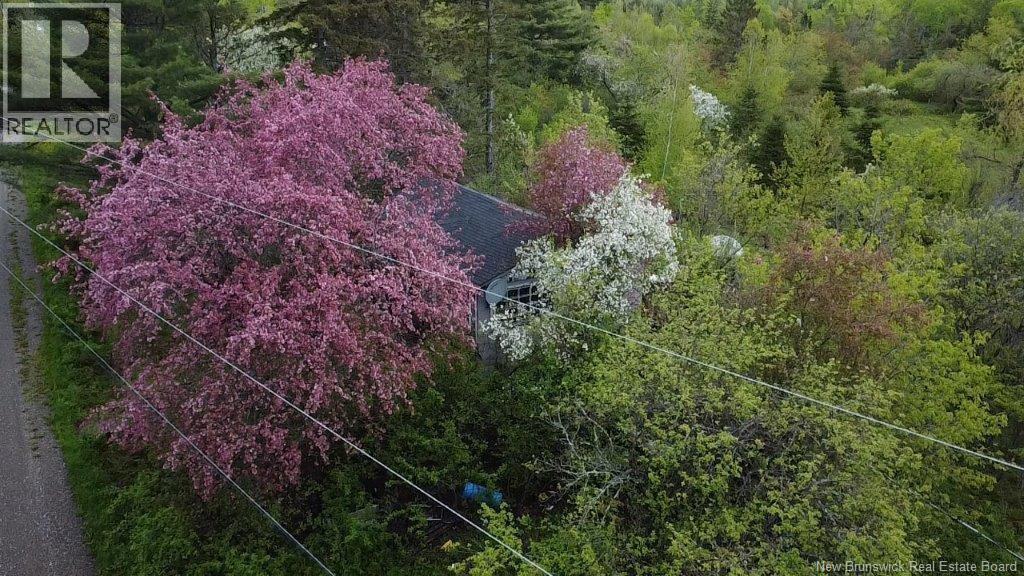 196 Ledge Road, Dufferin, New Brunswick  E3L 3P2 - Photo 3 - NB140566