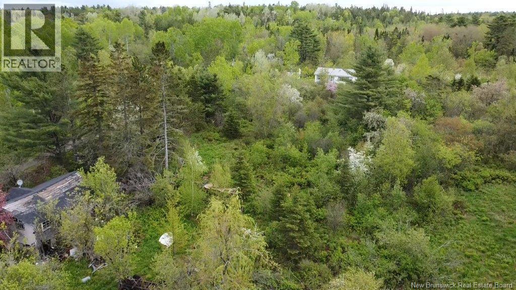 196 Ledge Road, Dufferin, New Brunswick  E3L 3P2 - Photo 7 - NB140566