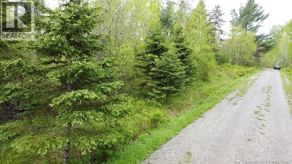 196 Ledge Road, Dufferin, New Brunswick  E3L 3P2 - Photo 9 - NB140566