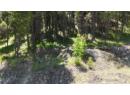 SL57 OSPREY Landing VIEW, Wardner, BC V0B 2J0