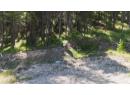 SL58 Osprey Landing View, Wardner, BC V0B 2J0