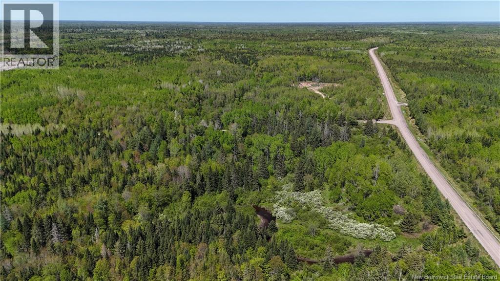 Lot Dargavels Road, Bass River, New Brunswick  E4W 2X9 - Photo 4 - NB141068