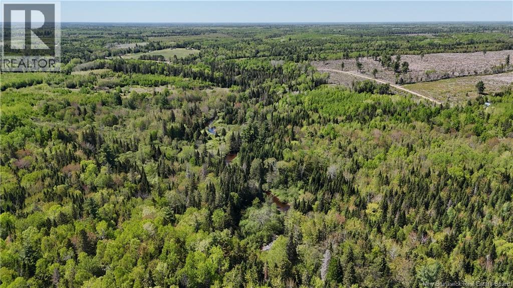Lot Dargavels Road, Bass River, New Brunswick  E4W 2X9 - Photo 5 - NB141068