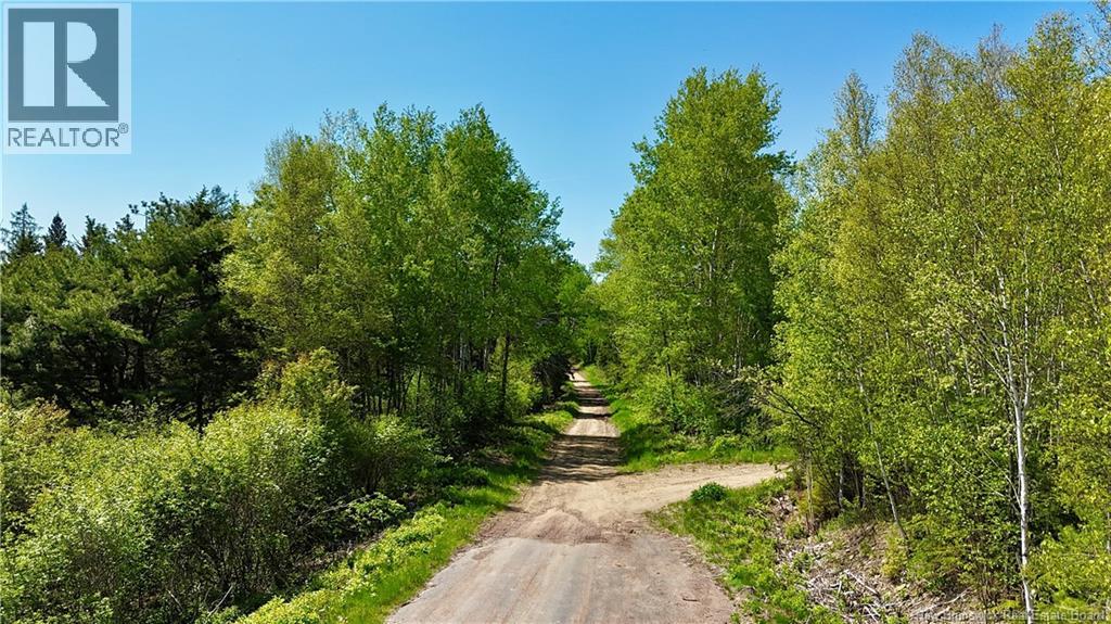 Lot Dargavels Road, Bass River, New Brunswick  E4W 2X9 - Photo 8 - NB141068