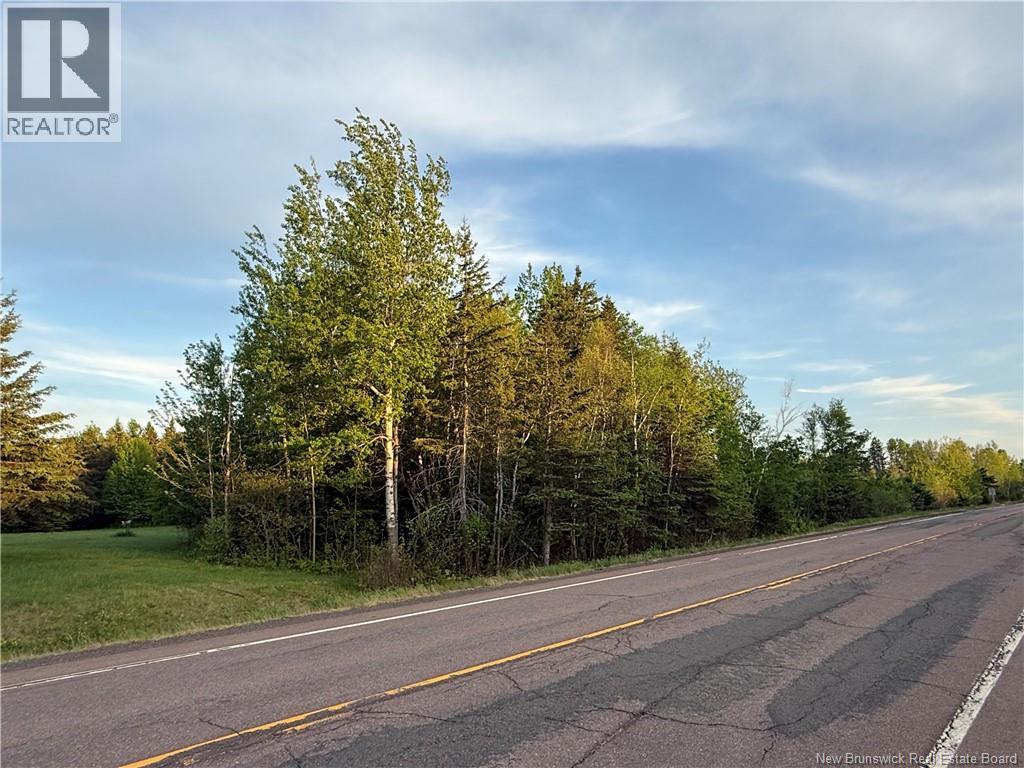 Lot Route 115, Notre-Dame, New Brunswick  E4V 2E7 - Photo 3 - NB141170