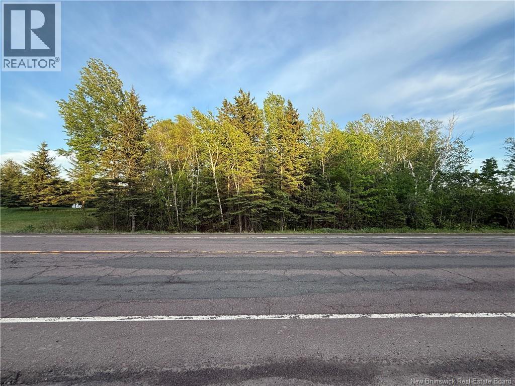 Lot Route 115, Notre-Dame, New Brunswick  E4V 2E7 - Photo 4 - NB141170