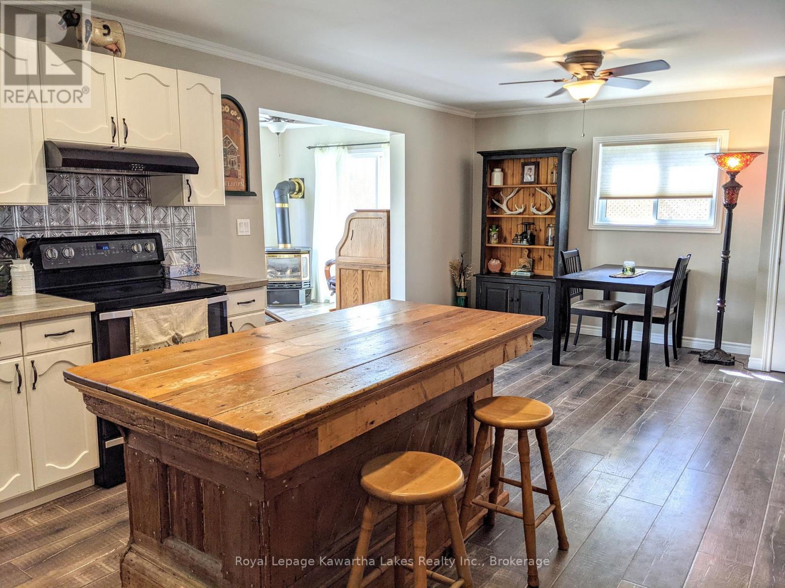 21 Pleasure Street, Kawartha Lakes, Ontario  K0M 1G0 - Photo 4 - X13246460