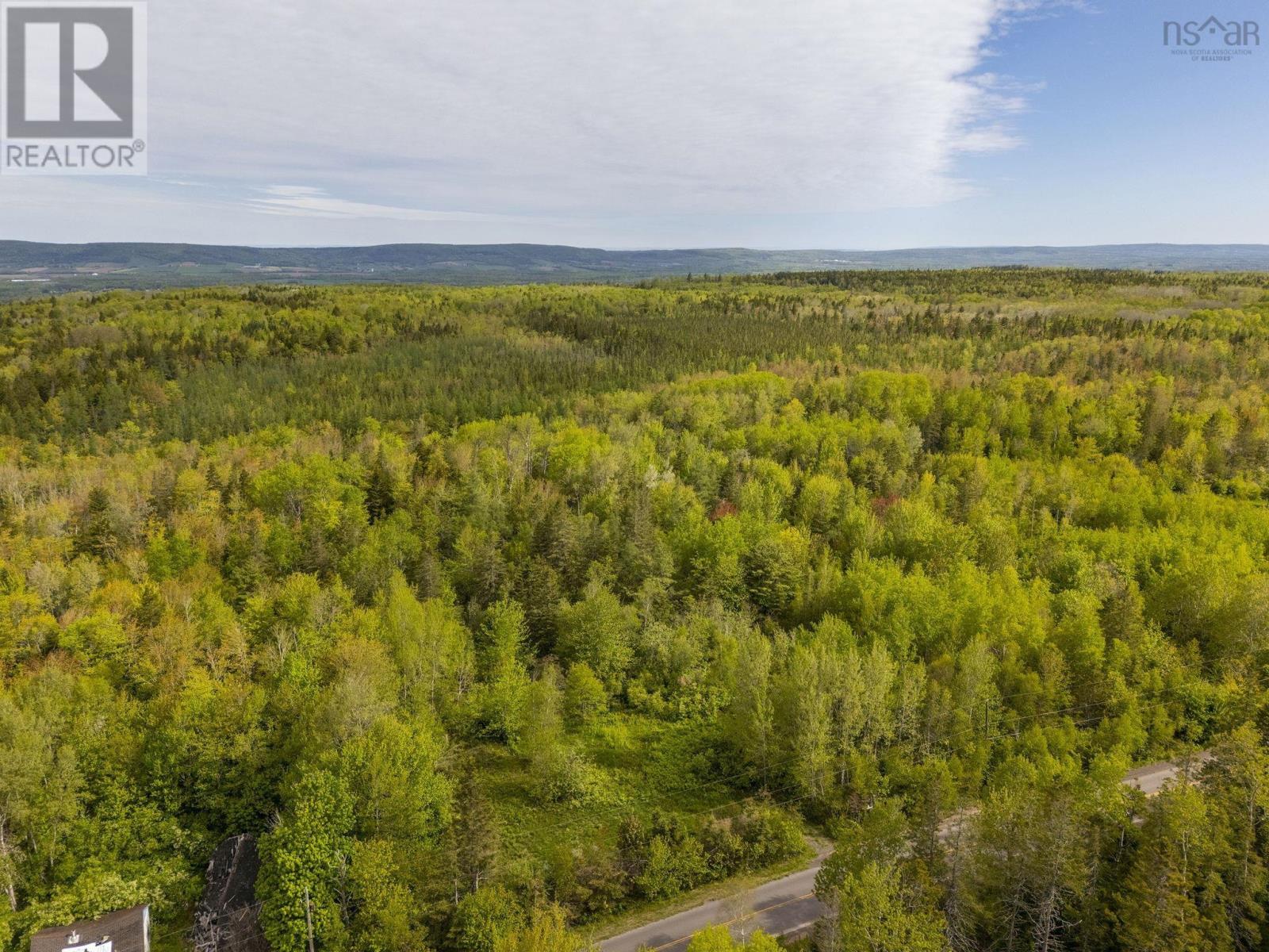 Lot Inglisville Road, Inglisville, Nova Scotia  B0S 1M0 - Photo 7 - 202601846