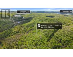 PT LT 14 CON 1 IB&O RAIL TRAIL, dysart et al (harcourt), Ontario