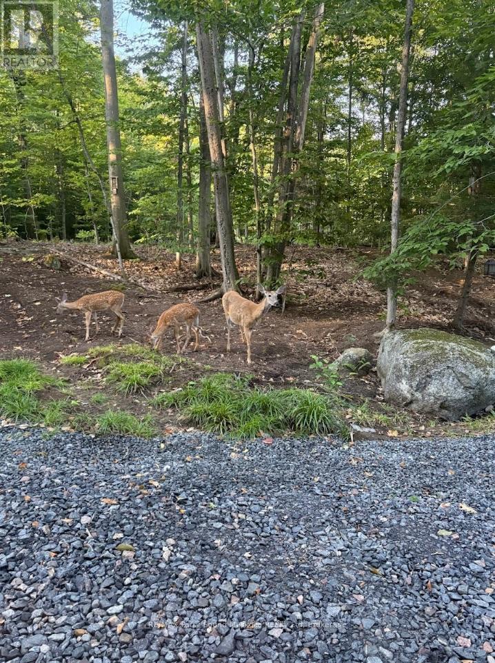 110d Louisa Street, Parry Sound, Ontario  P2A 2V3 - Photo 17 - X13242820