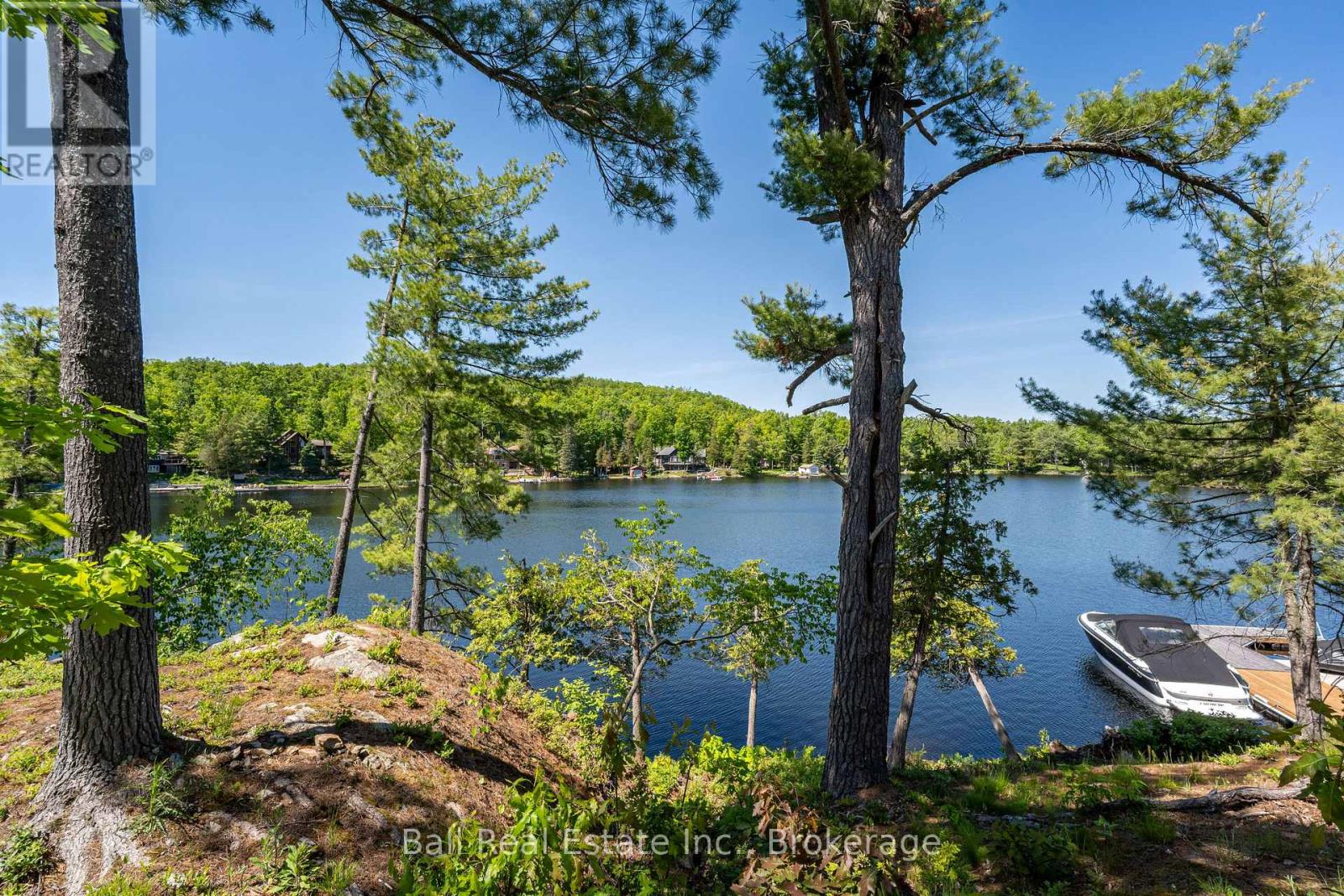 85 Hillcrest Road, North Kawartha, Ontario  K0L 3E0 - Photo 42 - X13247202