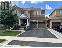 BASEMENT - 55 BLUFFWOOD CRESCENT, Brampton, Ontario