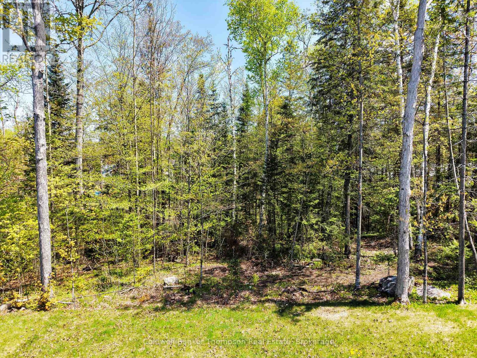 25 Eaglecrest Avenue, Huntsville, Ontario  P1H 0G5 - Photo 43 - X13247304