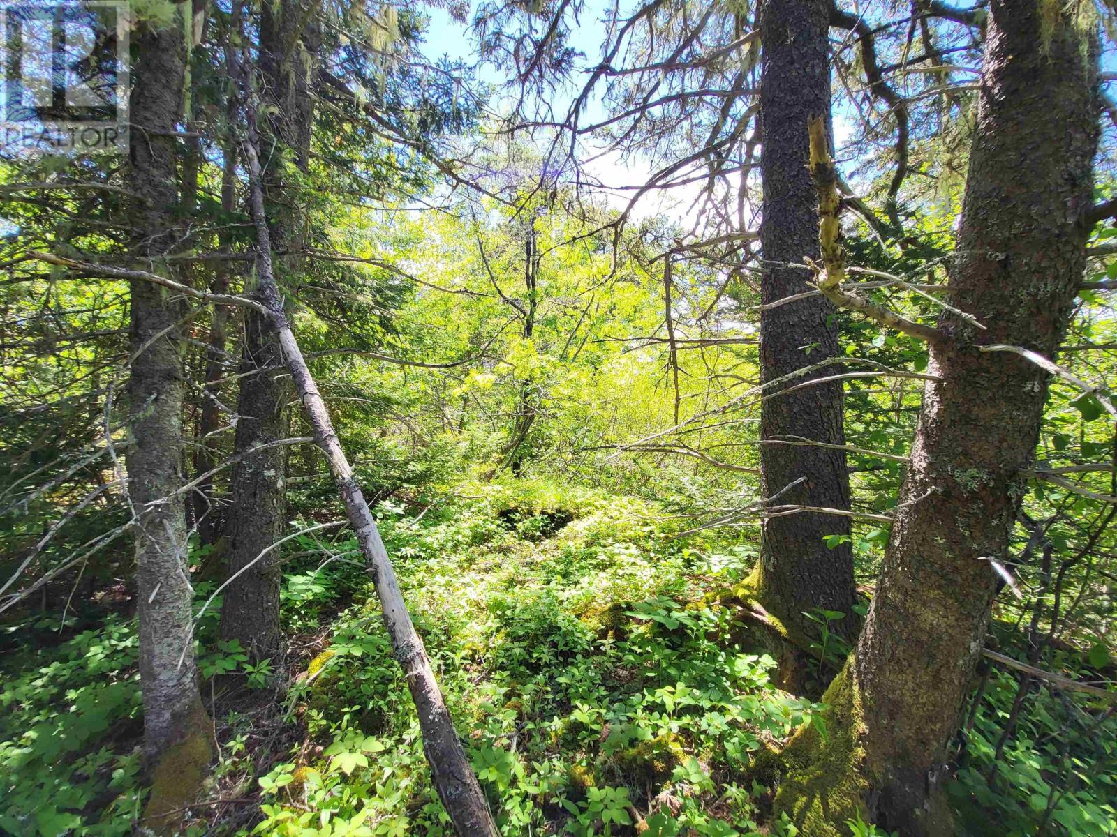 Lot C4 Everetts Way, Hunts Point, Nova Scotia  B0T 1G0 - Photo 14 - 202528233