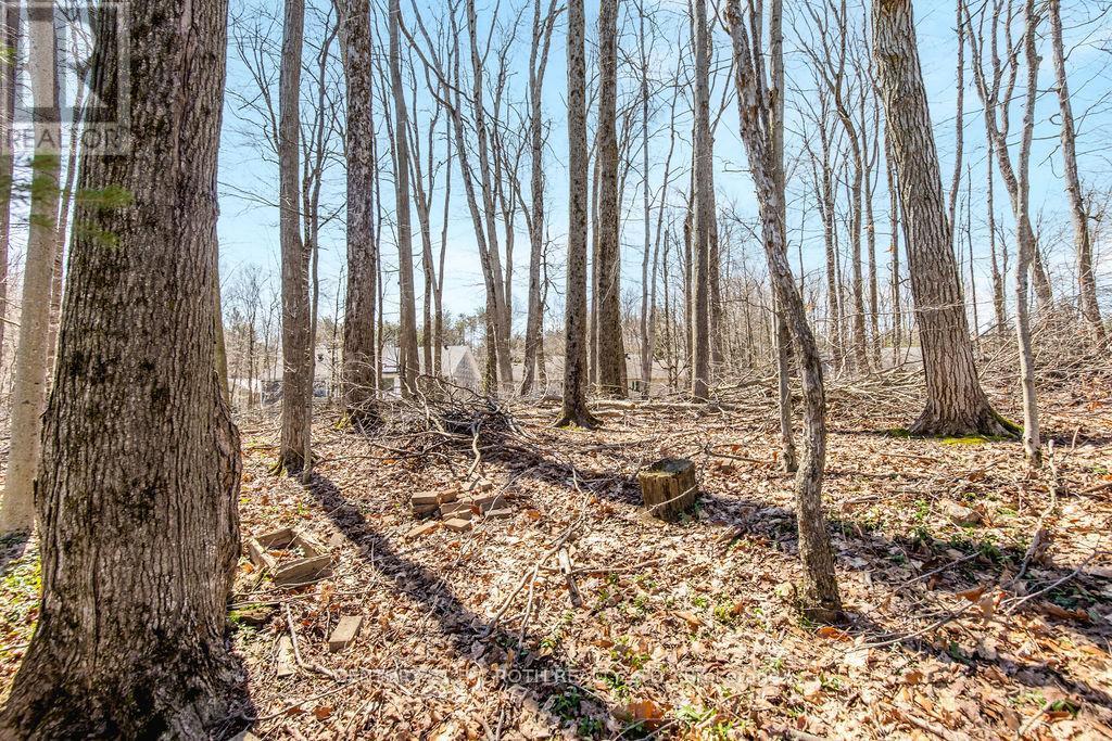 15 Sugarbush Road, Oro-Medonte (Sugarbush), Ontario  L0K 1E0 - Photo 39 - S13247454