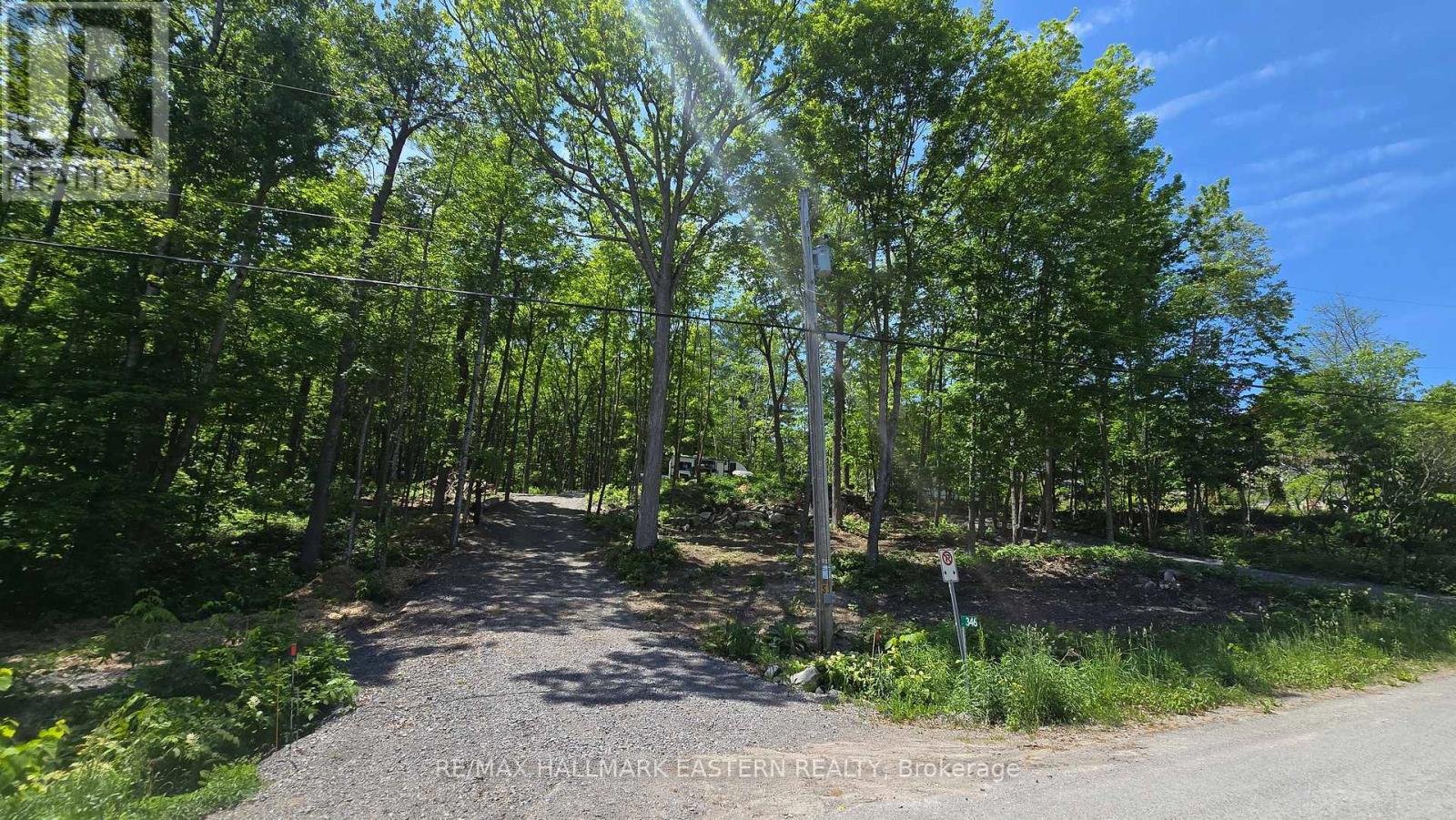 346 Blairton Road, Havelock-Belmont-Methuen, Ontario  K0L 1Z0 - Photo 4 - X13247816