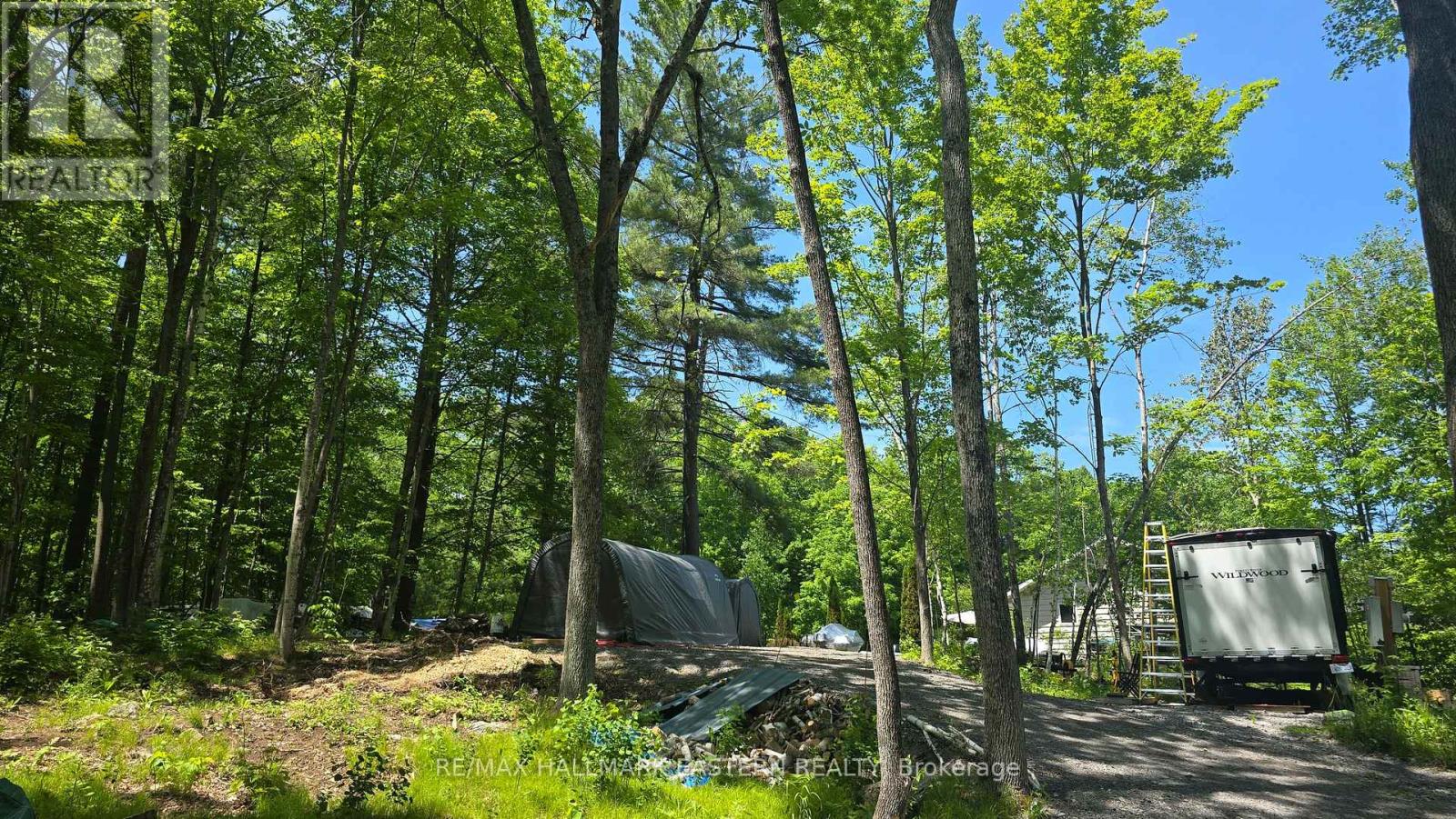 346 Blairton Road, Havelock-Belmont-Methuen, Ontario  K0L 1Z0 - Photo 7 - X13247816