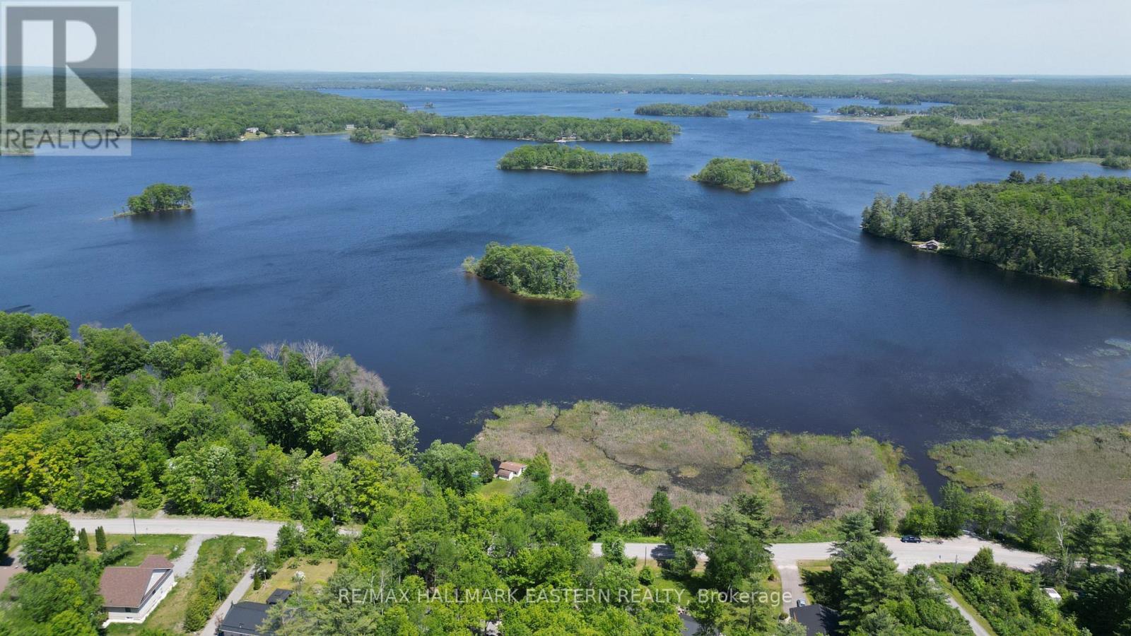 346 Blairton Road, Havelock-Belmont-Methuen, Ontario  K0L 1Z0 - Photo 8 - X13247816