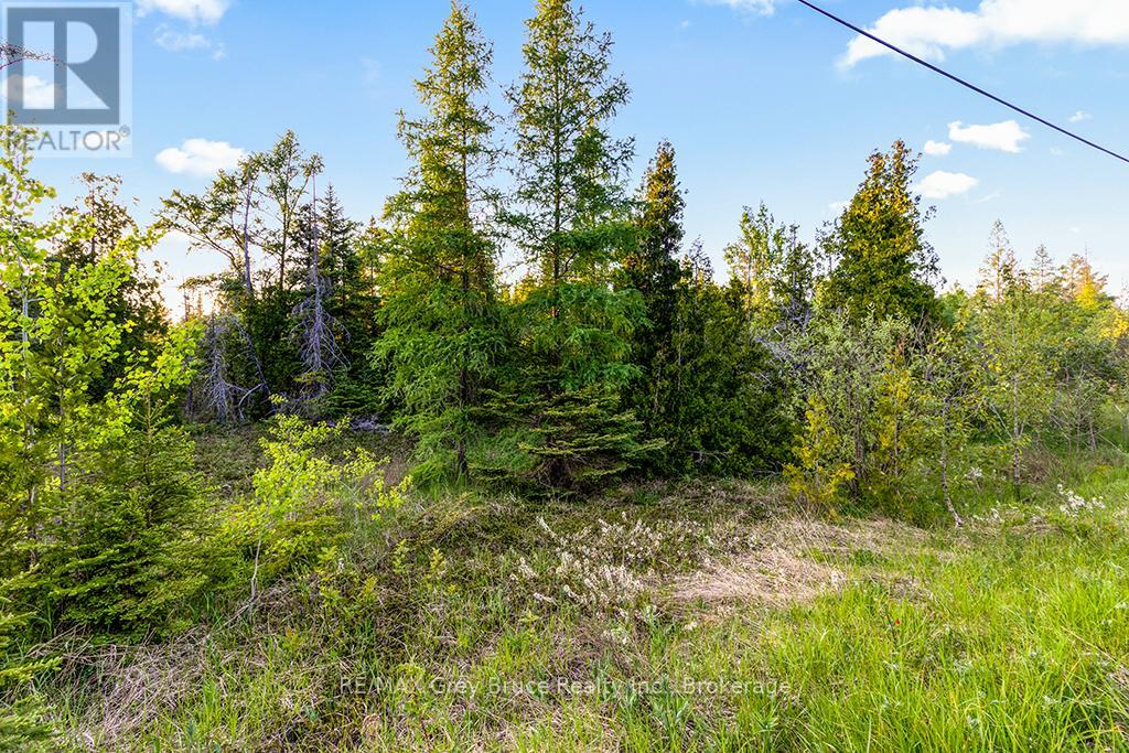 Unit 39 Tamarac Road, Northern Bruce Peninsula, Ontario  N0H 2M0 - Photo 18 - X13247826
