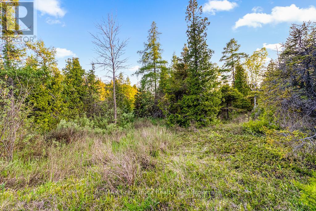 Unit 39 Tamarac Road, Northern Bruce Peninsula, Ontario  N0H 2M0 - Photo 23 - X13247826