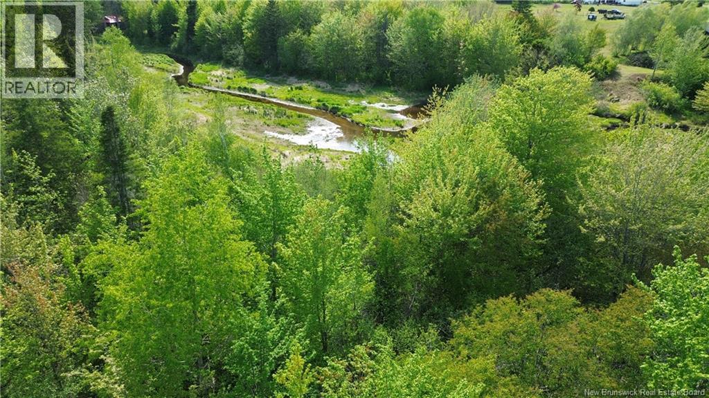 Lot Highway 134, Ward Corner, New Brunswick  E4V 2P3 - Photo 10 - NB135513