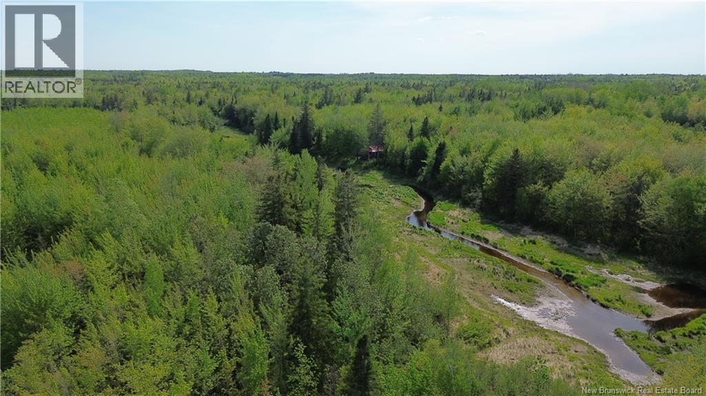 Lot Highway 134, Ward Corner, New Brunswick  E4V 2P3 - Photo 16 - NB135513