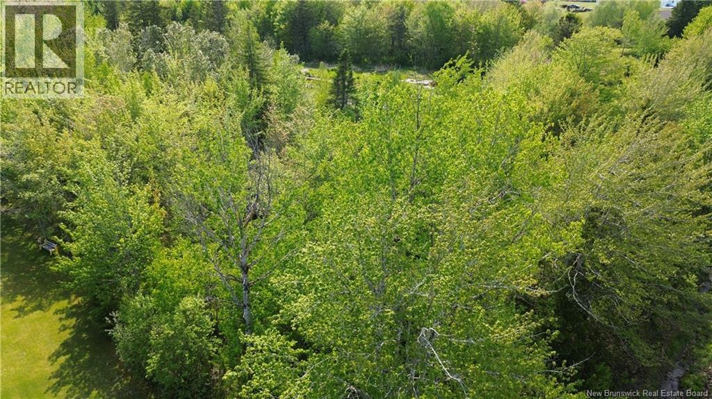 Lot Highway 134, Ward Corner, New Brunswick  E4V 2P3 - Photo 17 - NB135513
