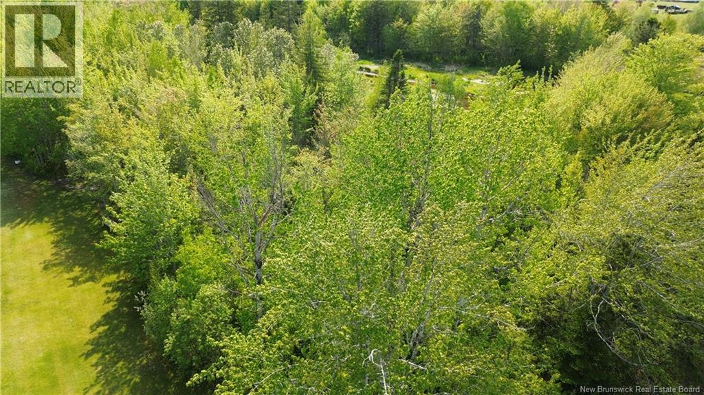 Lot Highway 134, Ward Corner, New Brunswick  E4V 2P3 - Photo 8 - NB135513