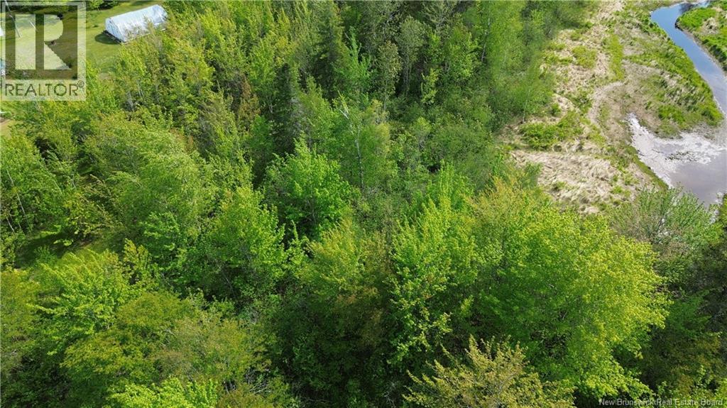 Lot Highway 134, Ward Corner, New Brunswick  E4V 2P3 - Photo 3 - NB135513