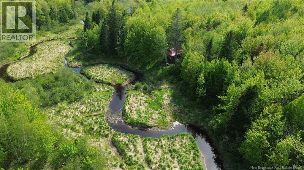 Lot Highway 134, Ward Corner, New Brunswick  E4V 2P3 - Photo 5 - NB135513