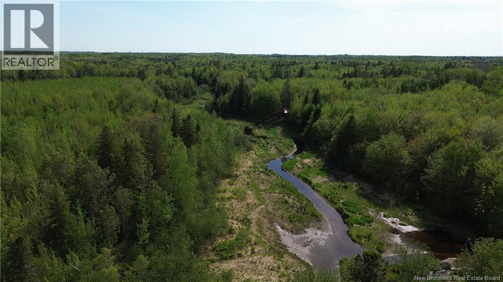 Lot Highway 134, Ward Corner, New Brunswick  E4V 2P3 - Photo 14 - NB135513