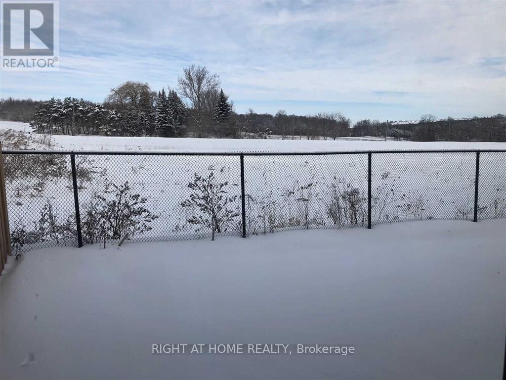 4 Blackpool Lane, East Gwillimbury, Ontario  L9N 0R7 - Photo 24 - N13247748