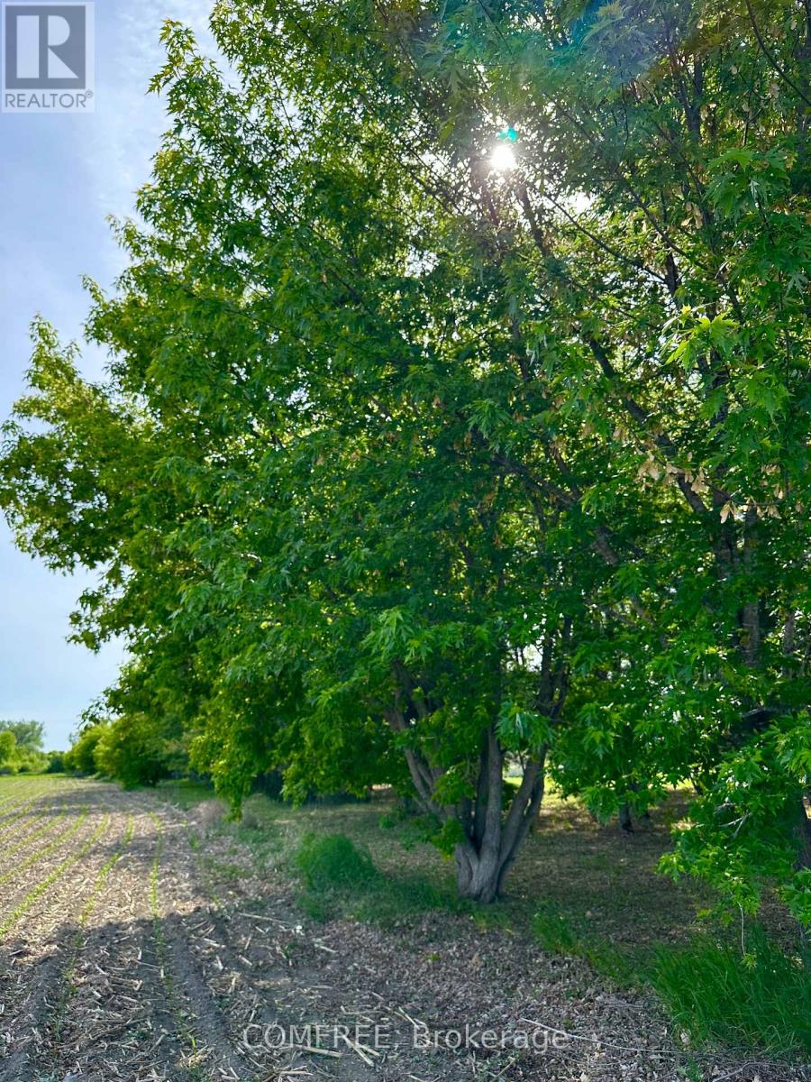 3646 Kinburn Side Road, Ottawa, Ontario  K0A 2H0 - Photo 10 - X13248142