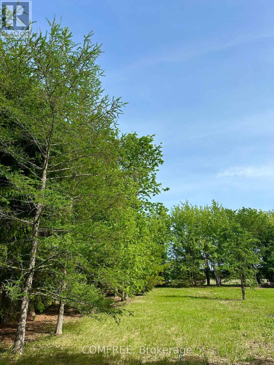 3646 Kinburn Side Road, Ottawa, Ontario  K0A 2H0 - Photo 18 - X13248142