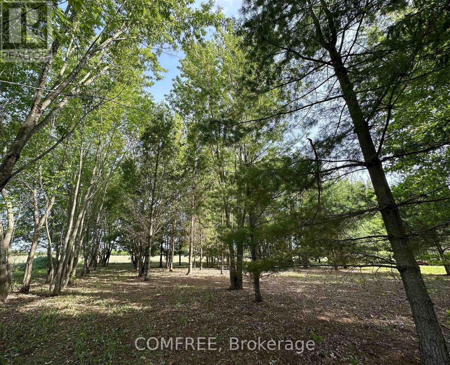3646 Kinburn Side Road, Ottawa, Ontario  K0A 2H0 - Photo 19 - X13248142