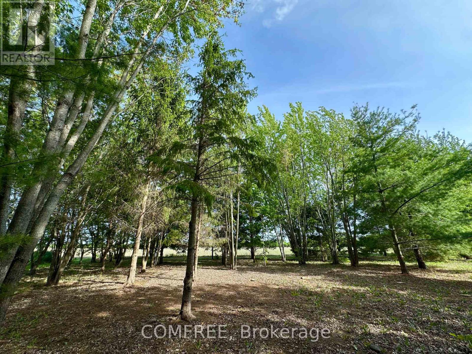 3646 Kinburn Side Road, Ottawa, Ontario  K0A 2H0 - Photo 21 - X13248142