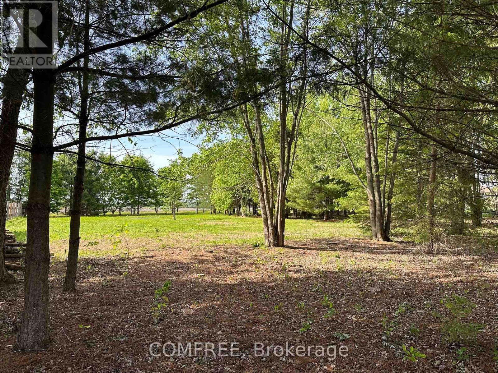 3646 Kinburn Side Road, Ottawa, Ontario  K0A 2H0 - Photo 4 - X13248142