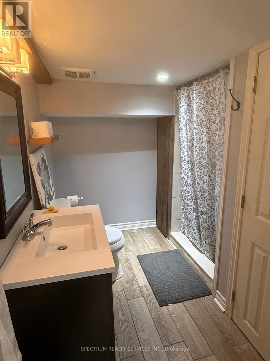 Lower Level - 54 Delemere Avenue, Toronto, Ontario  M6N 1Z7 - Photo 9 - W13247668