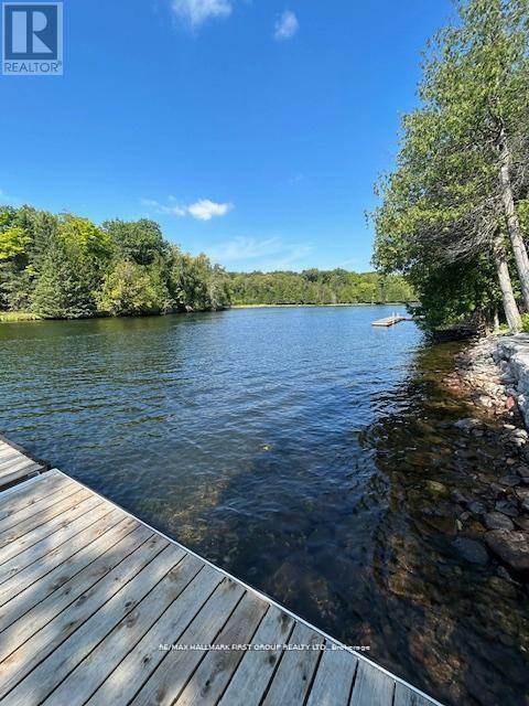 94 Everett Road, Kawartha Lakes (Bexley), Ontario  K0K 1K0 - Photo 6 - X13247956