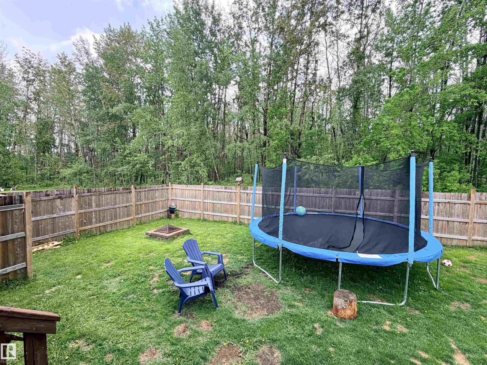 4011 Meier Av, Drayton Valley, Alberta  T7A 1B1 - Photo 13 - E4491367