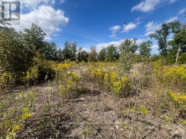 1872 Willan Road, Selwyn, Ontario  K0L 1J0 - Photo 13 - X13248084