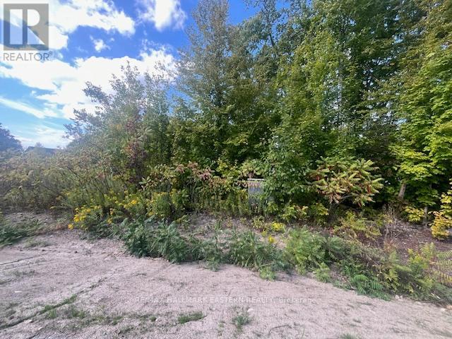 1872 Willan Road, Selwyn, Ontario  K0L 1J0 - Photo 6 - X13248084