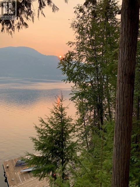 2850 Boat Access West Side, Christina Lake, British Columbia  V0H 1E1 - Photo 3 - 10390018