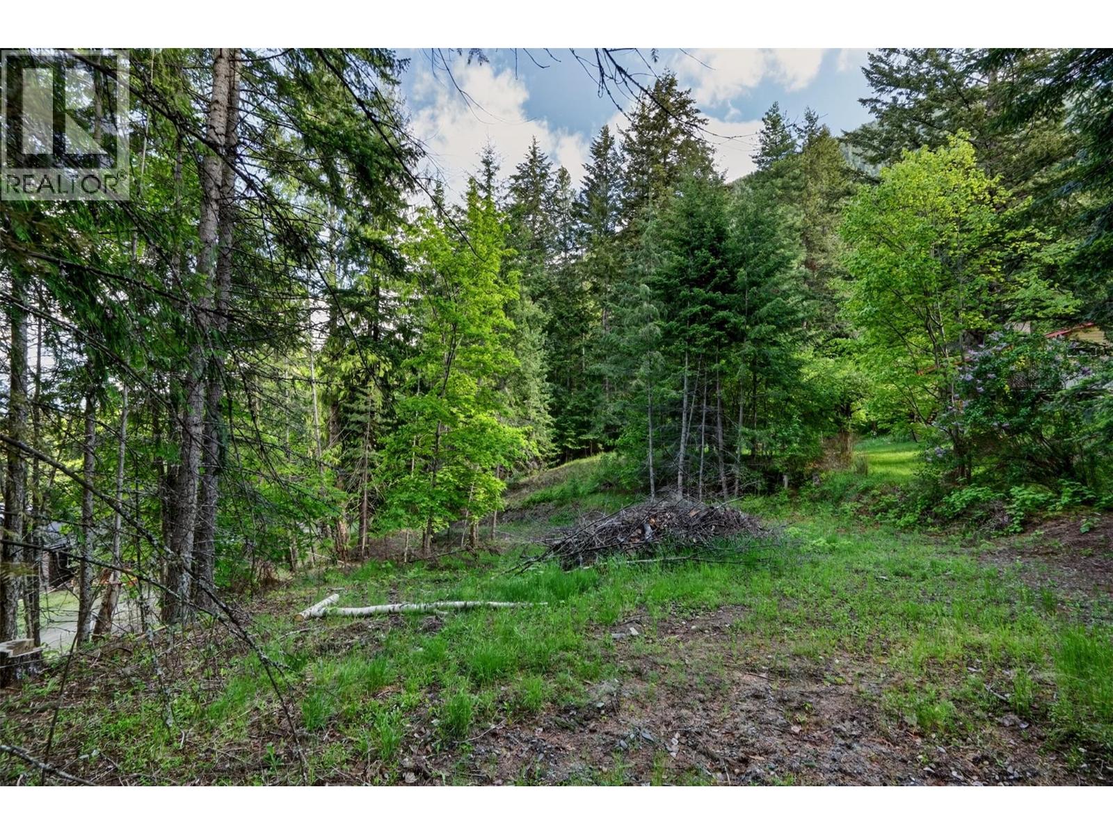 1102 Highway 31a, New Denver, British Columbia  V0G 1S0 - Photo 12 - 10388686