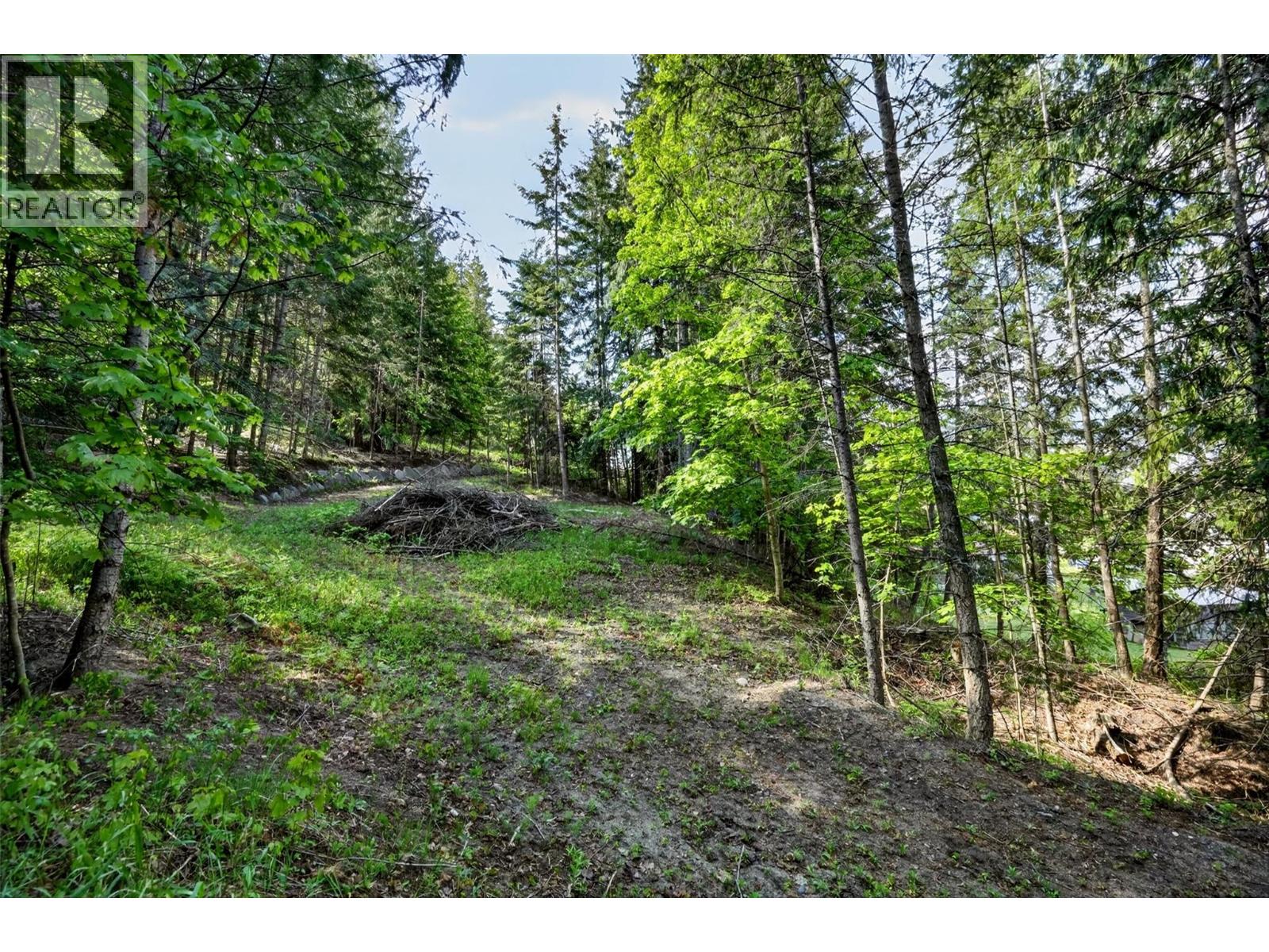 1102 Highway 31a, New Denver, British Columbia  V0G 1S0 - Photo 15 - 10388686