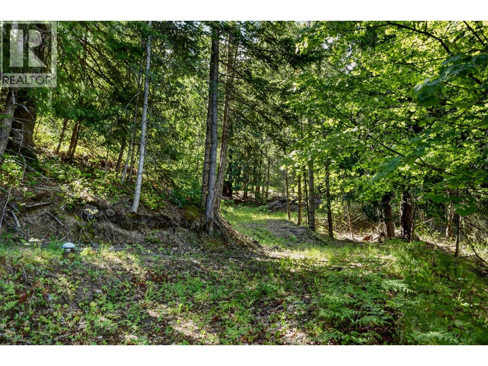 1102 Highway 31a, New Denver, British Columbia  V0G 1S0 - Photo 19 - 10388686