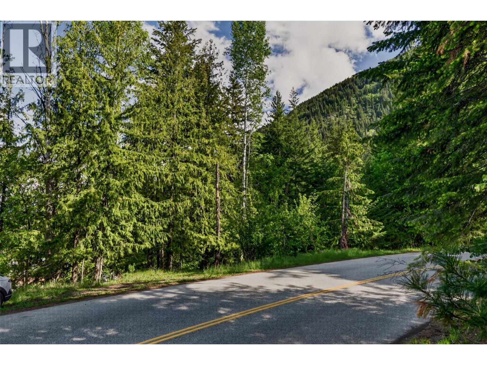 1102 Highway 31a, New Denver, British Columbia  V0G 1S0 - Photo 8 - 10388686
