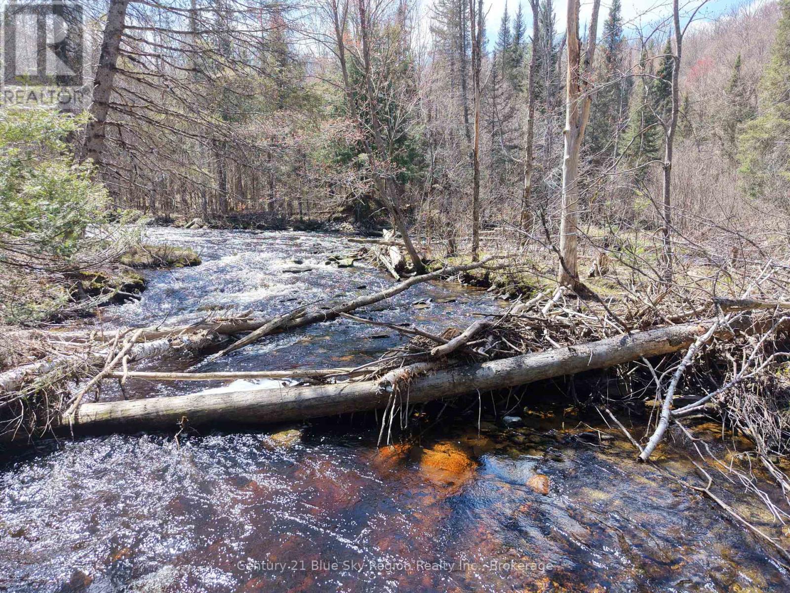 101 Rye Road, Nipissing, Ontario  P0H 1Z0 - Photo 12 - X13248448