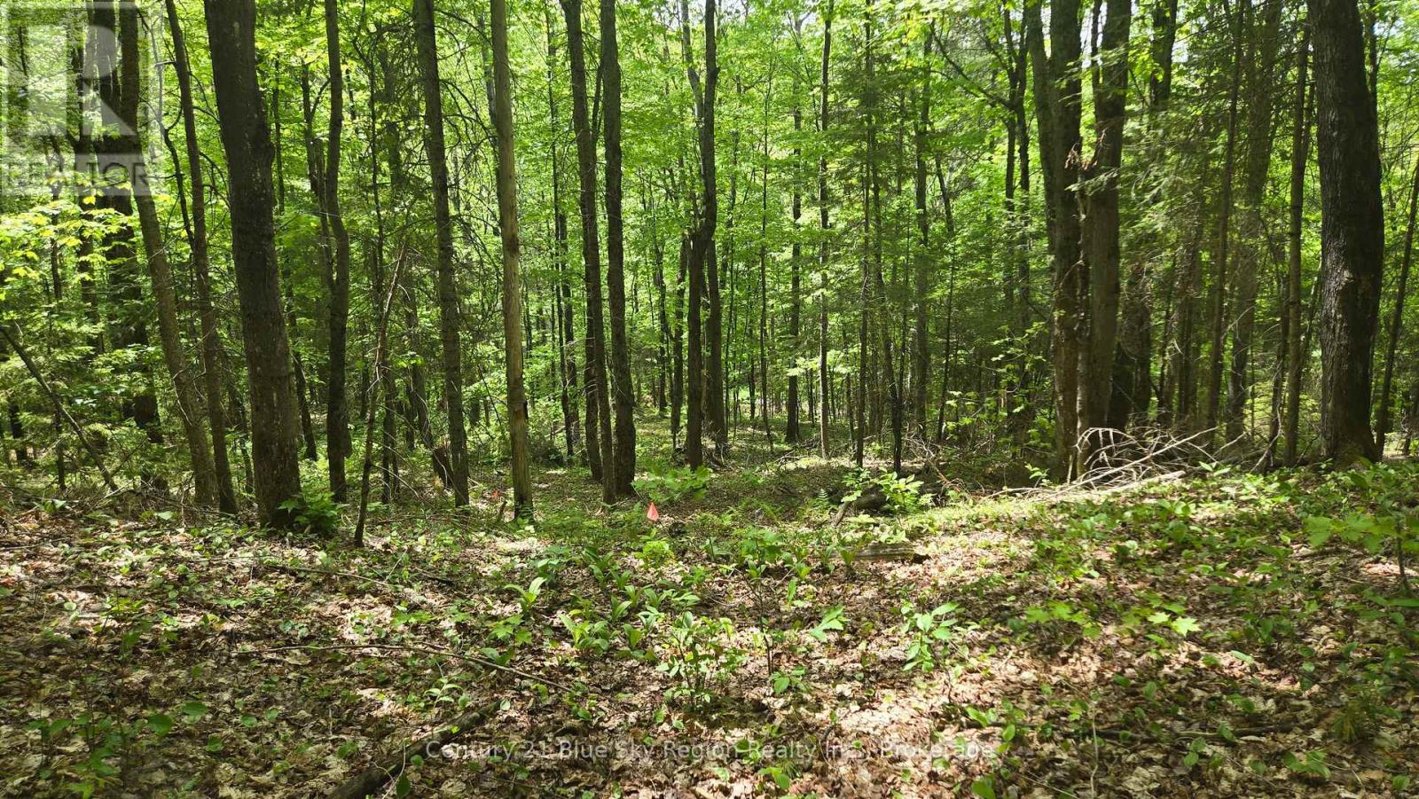 101 Rye Road, Nipissing, Ontario  P0H 1Z0 - Photo 21 - X13248448